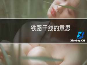 铁路干线的意思