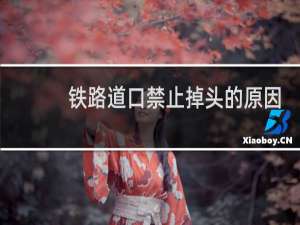 铁路道口禁止掉头的原因