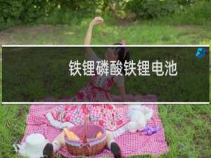 铁锂磷酸铁锂电池