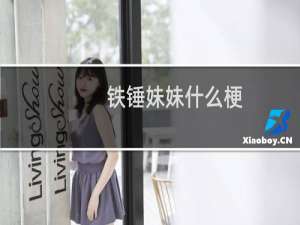 铁锤妹妹什么梗