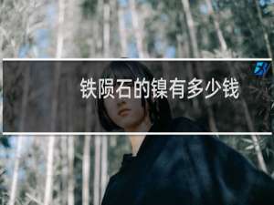 铁陨石的镍有多少钱