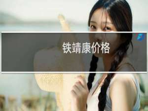 铁靖康价格