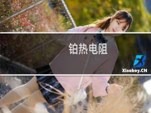 铂热电阻