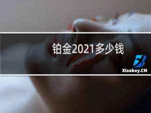 铂金2021多少钱