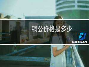 铜公价格是多少