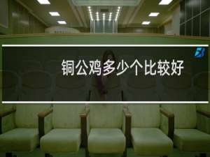 铜公鸡多少个比较好