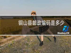 铜山县邮政编码是多少