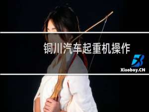 铜川汽车起重机操作
