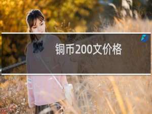 铜币200文价格