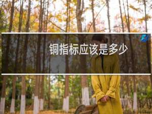 铜指标应该是多少