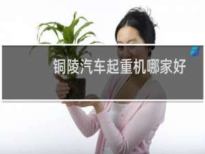 铜陵汽车起重机哪家好
