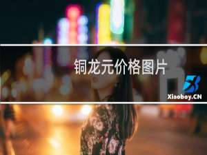 铜龙元价格图片