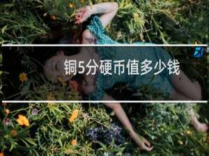 铜5分硬币值多少钱