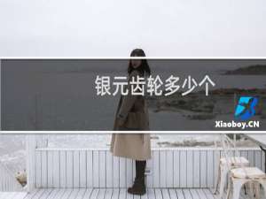 银元齿轮多少个