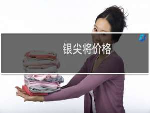 银尖将价格