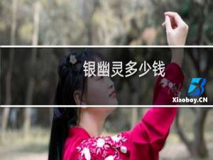 银幽灵多少钱