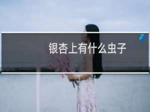 银杏上有什么虫子