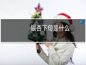 银杏下句是什么