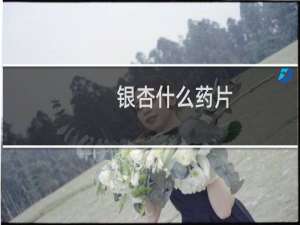 银杏什么药片