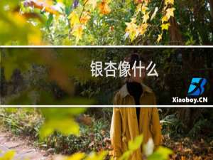 银杏像什么
