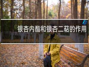 银杏内酯和银杏二萜的作用