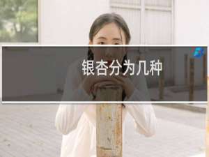 银杏分为几种
