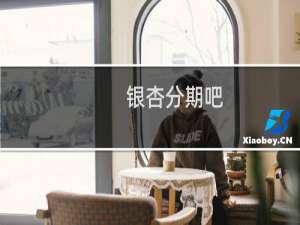 银杏分期吧