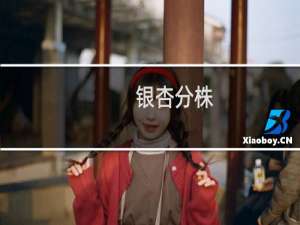 银杏分株