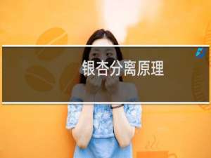 银杏分离原理