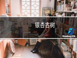 银杏古树