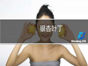银杏叶丁