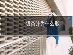 银杏叶为什么形