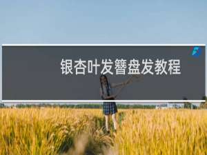 银杏叶发簪盘发教程