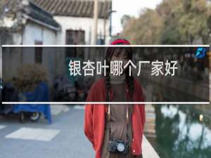 银杏叶哪个厂家好