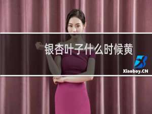 银杏叶子什么时候黄