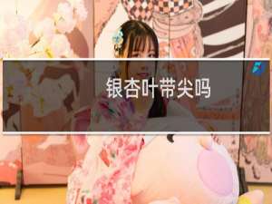 银杏叶带尖吗