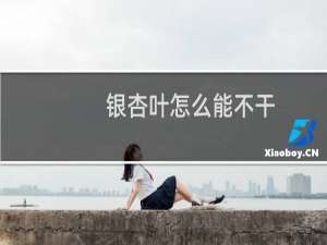 银杏叶怎么能不干