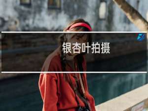 银杏叶拍摄