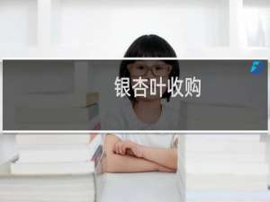 银杏叶收购