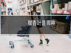 银杏叶是哪种
