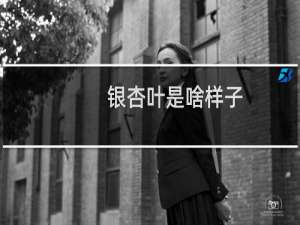 银杏叶是啥样子
