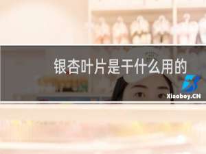 银杏叶片是干什么用的