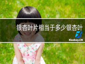 银杏叶片相当于多少银杏叶