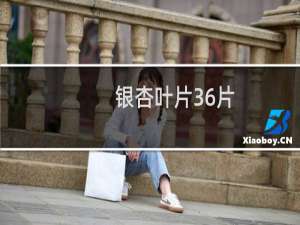 银杏叶片36片