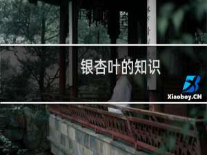 银杏叶的知识