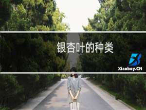 银杏叶的种类