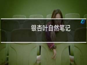 银杏叶自然笔记