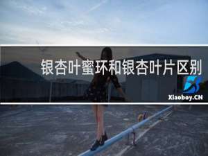 银杏叶蜜环和银杏叶片区别