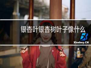 银杏叶银杏树叶子像什么