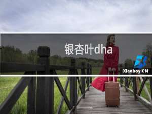 银杏叶dha